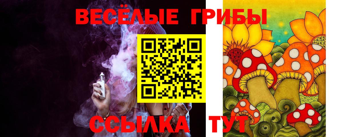 Псилоцибиновые грибы MAGIC MUSHROOMS  Галлюциногенные грибы мицелий  Вход с VPN  цена   Коммунар 