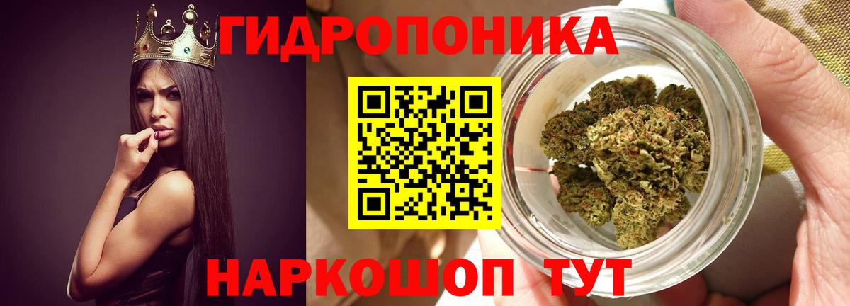 Каннабис Ganja  Каннабис Bruce Banner  Вход с VPN  Конопля сатива  Коммунар  МАРИХУАНА гибрид 